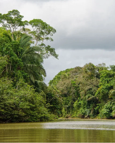 Refugio Nacional de Vida Silvestre Mixto Caño Negro